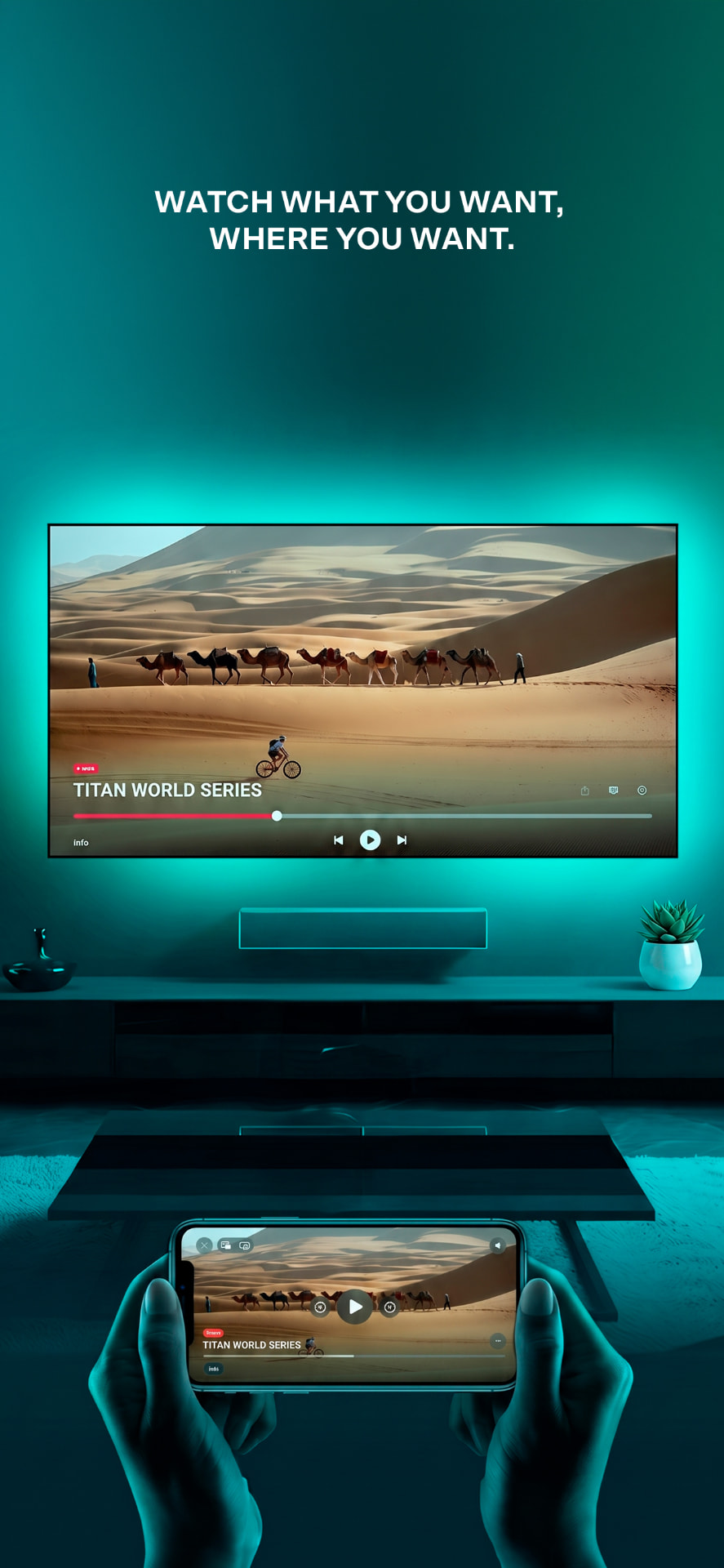 WHATS TV app screenshot 2